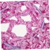 FRCOLOR 3-Piece Polyester Hair Nets with Mesh Design and Rhinestones view 3