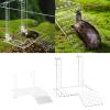Transparent Acrylic Turtle Basking Ramp view 2
