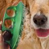 Dog Bath Brush with Pressure Material - Pet Bath Brush for Cats view 3