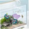 COLLBATH Betta Tunnel for Aquariums view 4