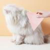 Dmuzsoih Rubber Pet Brush view 2