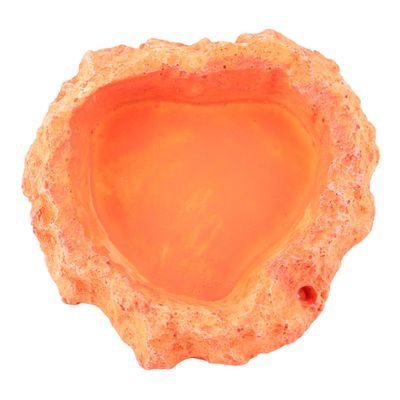 Orange Resin Reptile Food Bowl for Small Reptiles