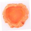 Orange Resin Reptile Food Bowl for Small Reptiles view 2