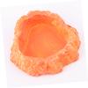 Orange Resin Reptile Food Bowl for Small Reptiles view 3