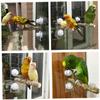 BELLIFFY Suction Cup Bird Play Stand view 3