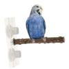 BELLIFFY Suction Cup Bird Play Stand view 4