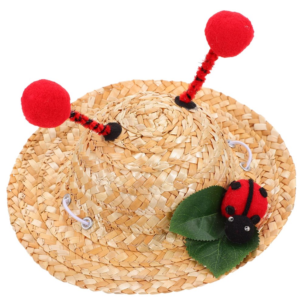 BELLIFFY Puppy Summer Straw Hat for Small Dogs and Cats