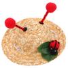 BELLIFFY Puppy Summer Straw Hat for Small Dogs and Cats view 1