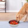 Silicone Dog Slow Feeder Bowl view 2