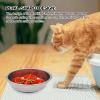 Silicone Dog Slow Feeder Bowl view 3