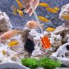 Aquarium Cleaning Brush view 2