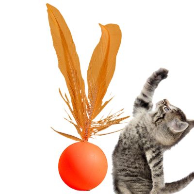 Cat Ball Toy with Feather