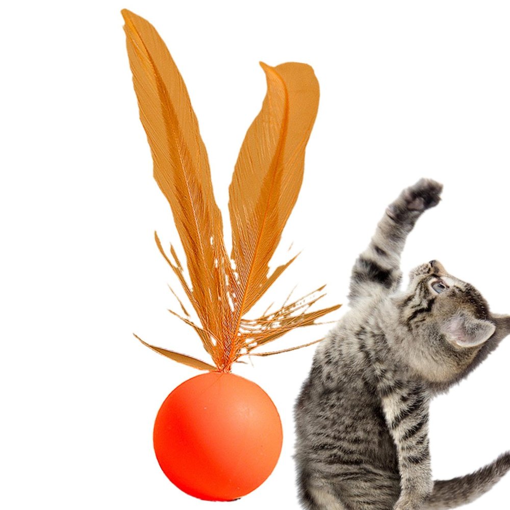 Cat Ball Toy with Feather
