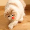 Cat Ball Toy with Feather view 3