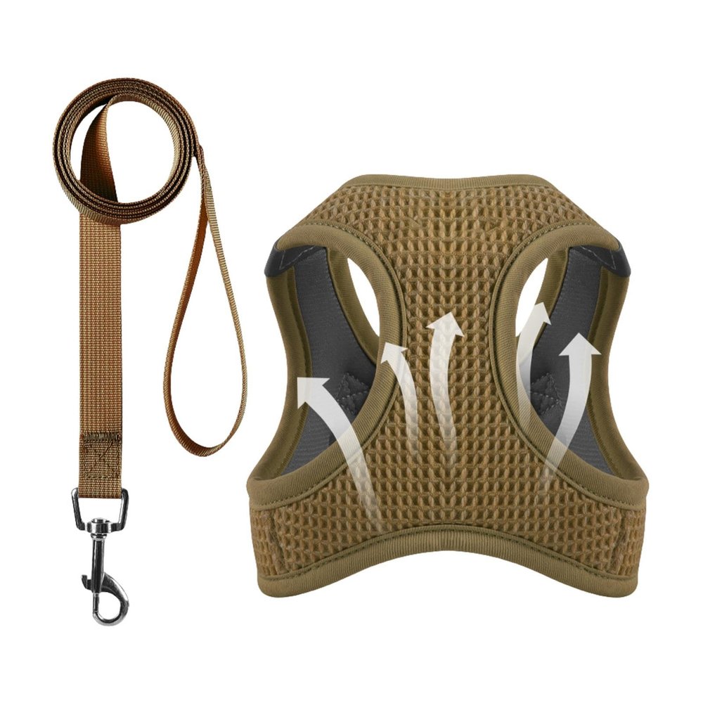 Cat Harness for Walking