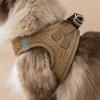 Cat Harness for Walking view 3
