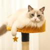 Multifunctional Cat Climbing Shelf view 3