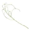 Levemolo Artificial Terrarium Plant for Reptiles view 1