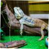 Levemolo Artificial Terrarium Plant for Reptiles view 3