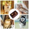 Pet Ashes Urn - Wooden Memorial Box view 3