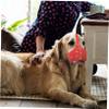 Adjustable Dog Muzzles to Prevent Biting, 2-Pack, Brown Leather view 3