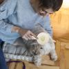 Yhsioaklo Pet Slicker Brush for Dogs and Cats view 2