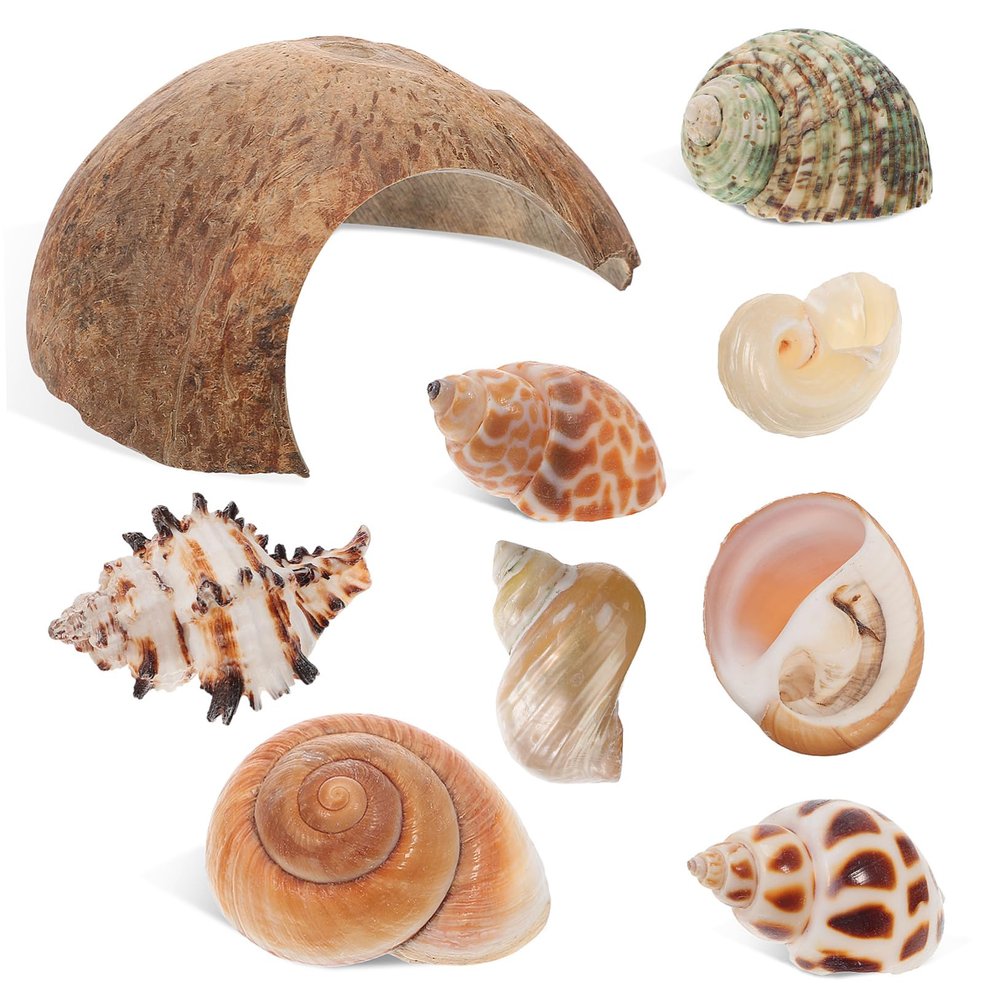 Coconut Shells, 1 Set, Hiding Places for Reptiles and Fish