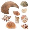 Coconut Shells, 1 Set, Hiding Places for Reptiles and Fish view 1