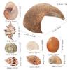 Coconut Shells, 1 Set, Hiding Places for Reptiles and Fish view 2