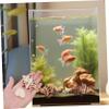 Coconut Shells, 1 Set, Hiding Places for Reptiles and Fish view 4