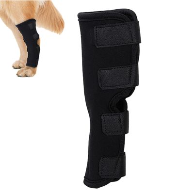 Adjustable Dog Knee Brace and Wound Cover for Hind Legs
