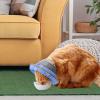 Dtaigou Adjustable Dog Cone Collar view 3