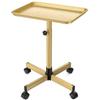 Height-Adjustable Aluminum Salon Trolley with Rolling Tray view 1