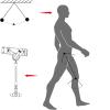 Lower-Limb Rehabilitation Strength Trainer and Walking Aid view 3