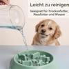 Amexo 2-Pack Slow Feeder Bowls for Dogs, Non-Slip Interactive Puzzle Bowls view 4