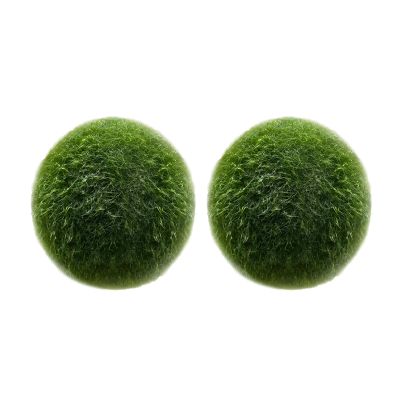 LuckyOpt 2Pcs Green Live Algae Balls