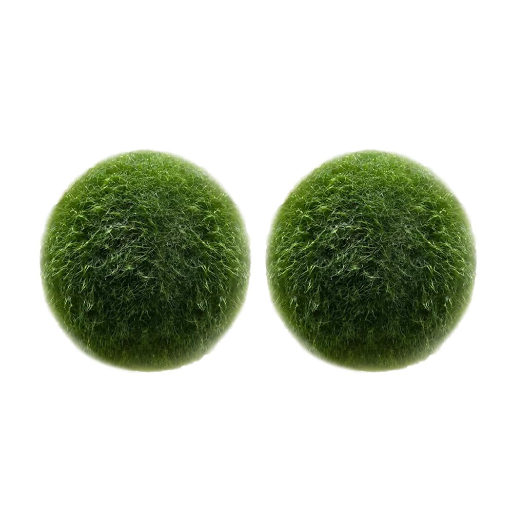 LuckyOpt 2Pcs Green Live Algae Balls