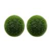 LuckyOpt 2Pcs Green Live Algae Balls view 1