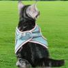 Cat Harness and Leash Set, Escape-Proof view 2