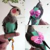 Parrot Diaper Flight Suit for Birds view 2