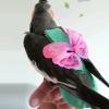 Parrot Diaper Flight Suit for Birds view 3