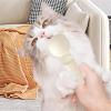 Cat Treat Squeeze Spoon and Dispenser view 3
