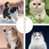 Cat Treat Squeeze Spoon and Dispenser view 4