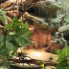 Reptile Vine Garland with Suction Cups for Terrariums view 2