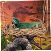 BESPORTBLE Reptile Hammock view 3