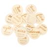 MOLUCKFU 14-Piece Wooden Milestone Discs for Baby Photos view 1
