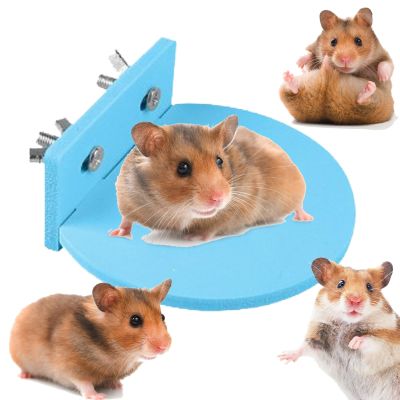 Xinhuju Activity Board for Hamsters