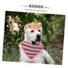 BUGUUYO Dog Hat with Bandana view 3