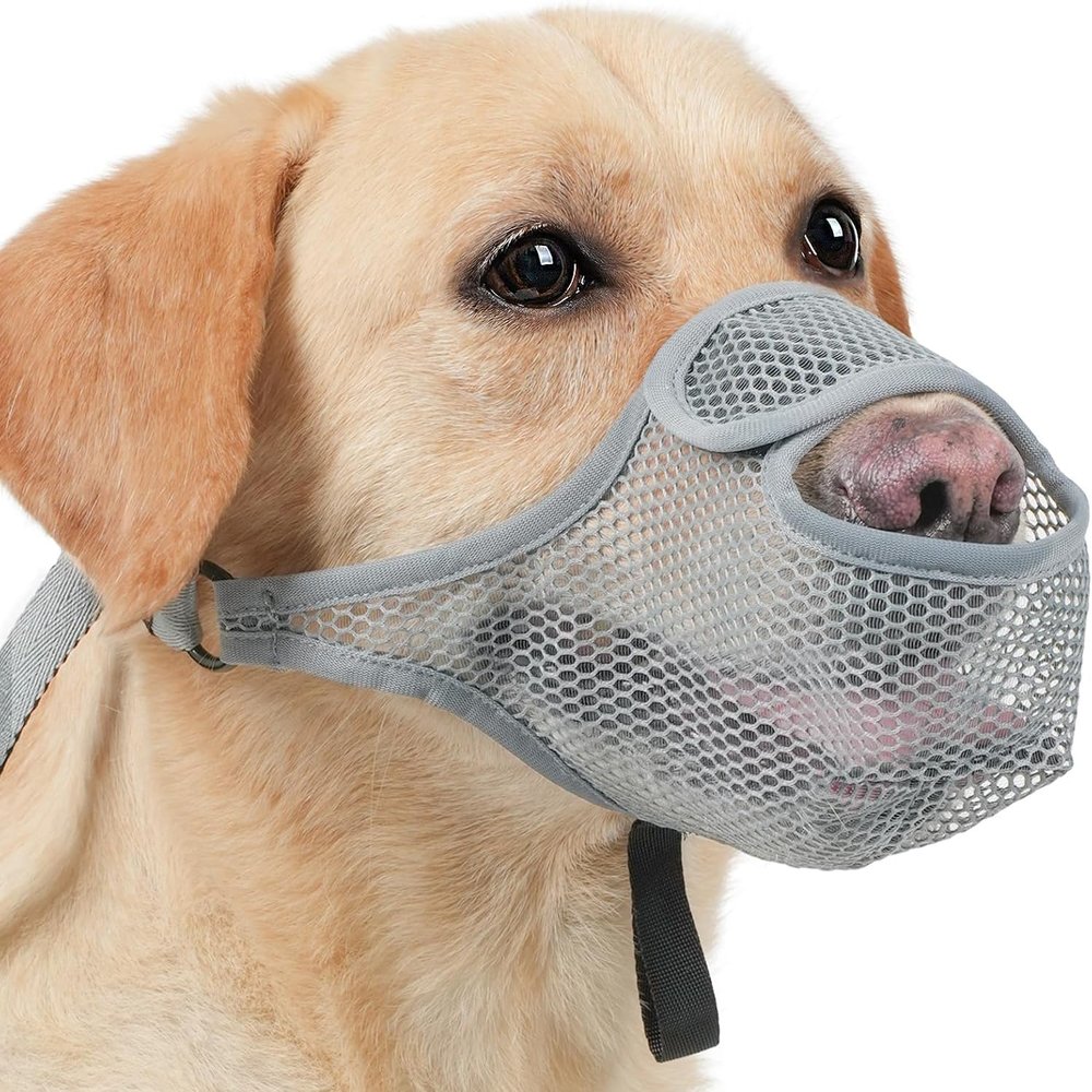 ChAusa Dog Muzzle for Medium Dogs, Adjustable