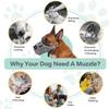 ChAusa Dog Muzzle for Medium Dogs, Adjustable view 4